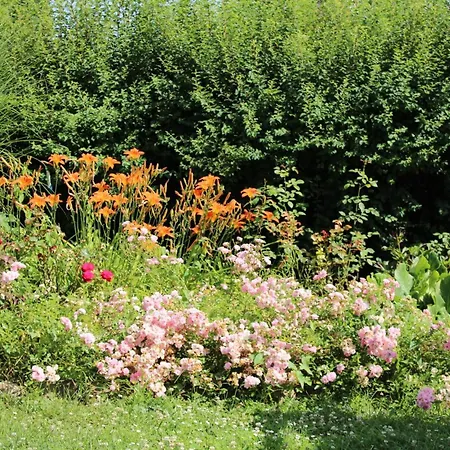 Rose 40m2 And Terrace In Greeny Area