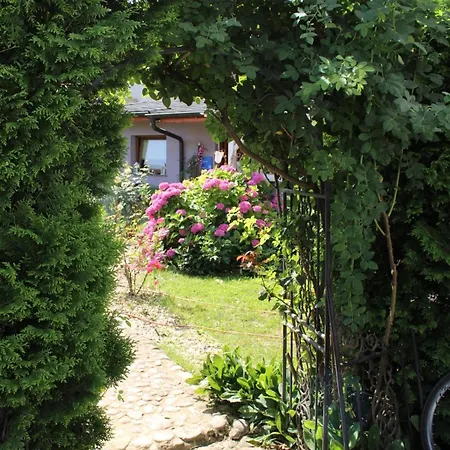 Rose 40m2 And Terrace In Greeny Area *
