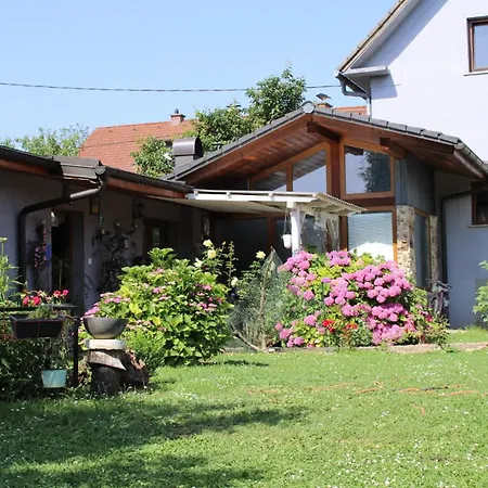 Rose 40m2 And Terrace In Greeny Area *