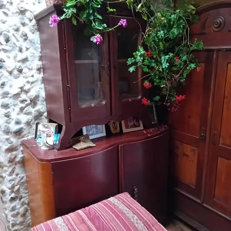 Rose 40m2 And Terrace In Greeny Area