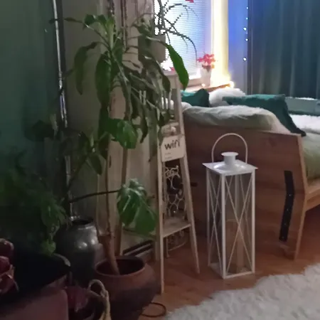 Privatunterkunft Rose 40m2 And Terrace In Greeny Area *